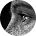Grid Avatar 5